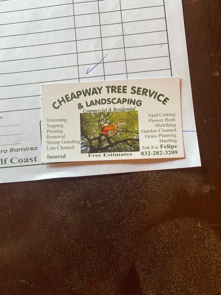 Affordable residential landscaping for year-round maintenance in Houston, TX by Cheapway Tree Service and Landscaping