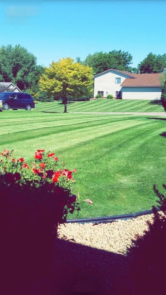 Trusted yard cleanup service for beautiful yards across Maple Grove, MN - Checkerboard Lawn and Landscape