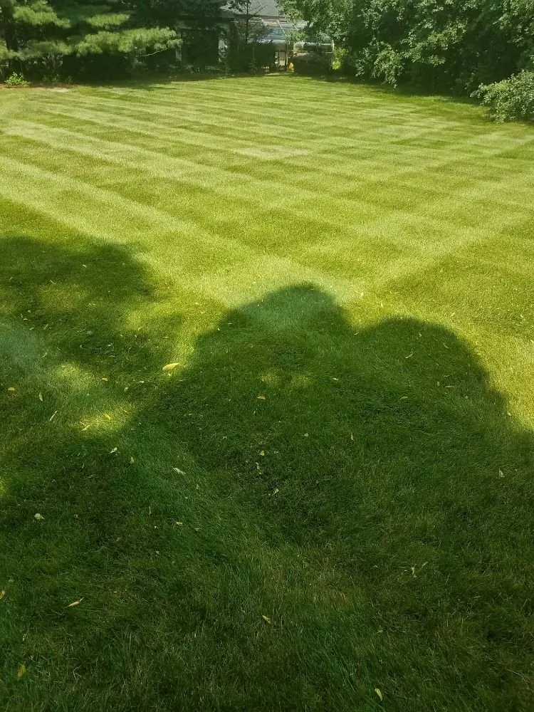 Affordable yard cleanup service for beautiful yards in Maple Grove, MN by Checkerboard Lawn and Landscape