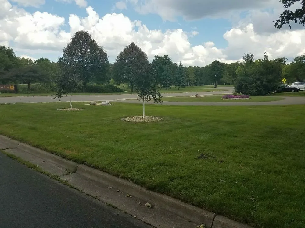 Top-rated outdoor landscaping in Maple Grove, MN by Checkerboard Lawn and Landscape