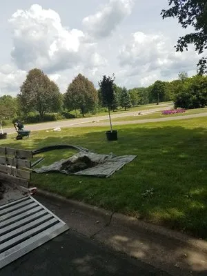 Checkerboard Lawn and Landscape