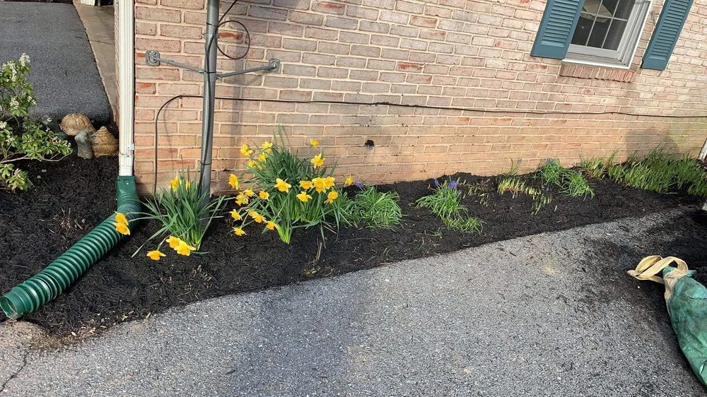 Local residential landscaping in New Providence, PA by Checkers Landscaping & Lawn Care