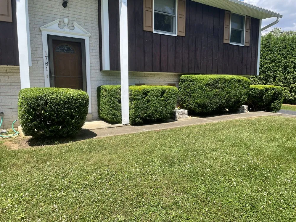 Custom residential landscaping in New Providence, PA by Checkers Landscaping & Lawn Care