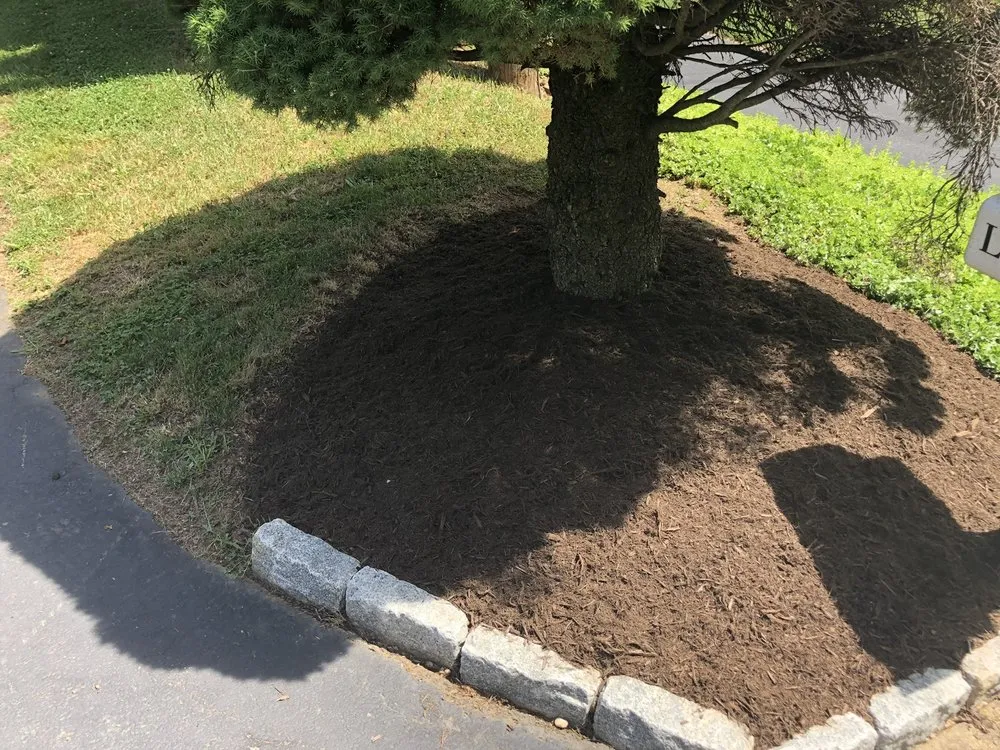 Reliable lawn care service experts serving New Providence, PA - Checkers Landscaping & Lawn Care