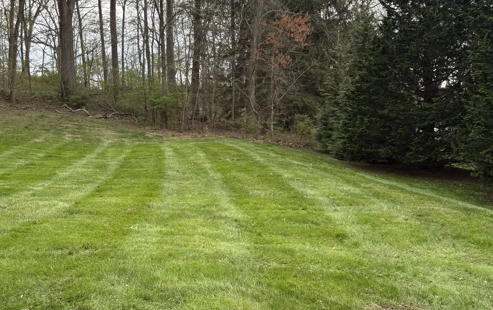 Custom landscaping services in New Providence, PA by Checkers Landscaping & Lawn Care