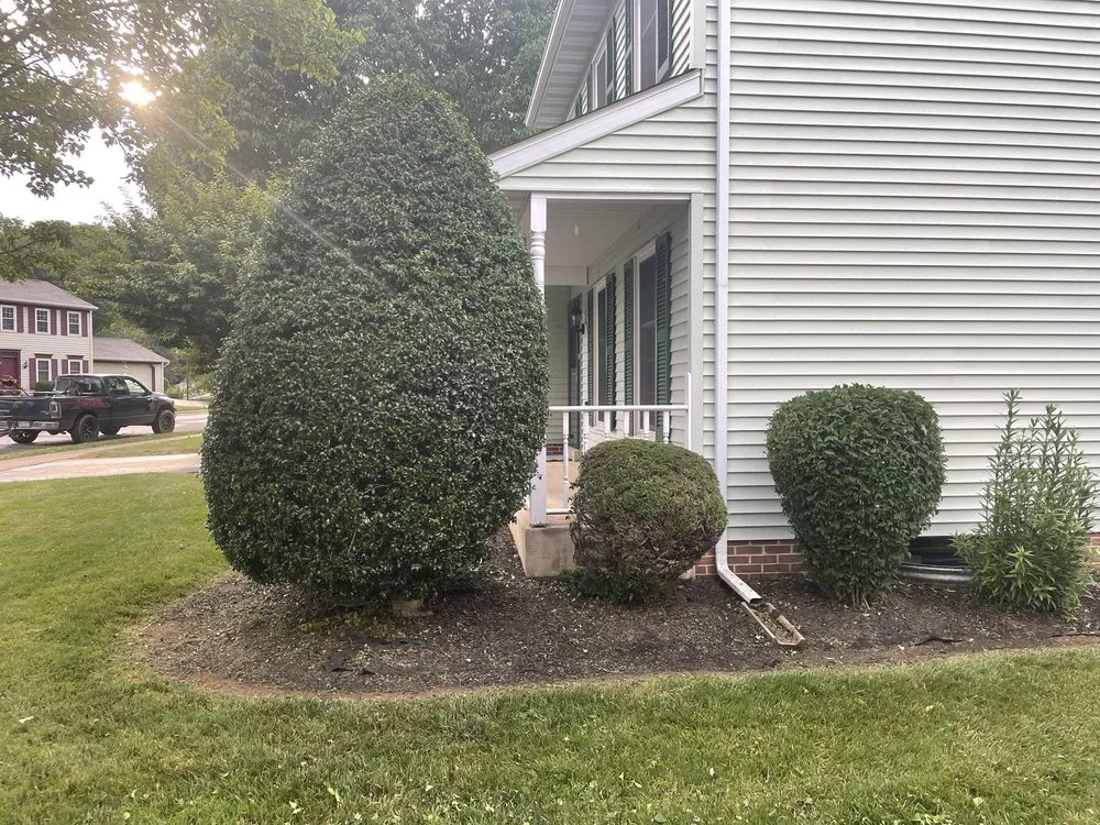 Affordable yard maintenance experts serving New Providence, PA - Checkers Landscaping & Lawn Care