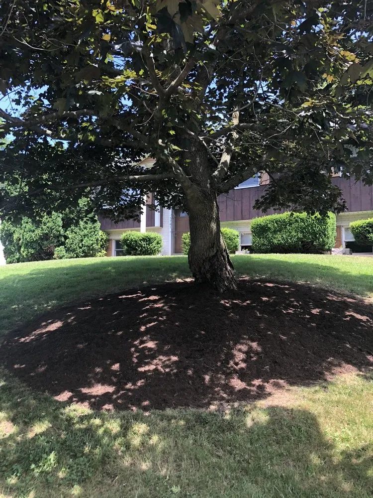 Expert lawn mowing service in New Providence, PA by Checkers Landscaping & Lawn Care