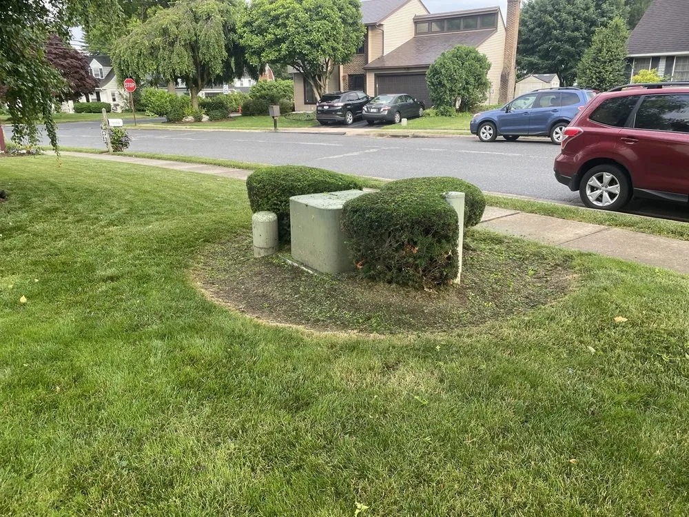 Reliable residential landscaping near you in New Providence, PA by Checkers Landscaping & Lawn Care