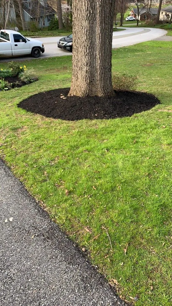 Expert yard maintenance for year-round maintenance in New Providence, PA by Checkers Landscaping & Lawn Care