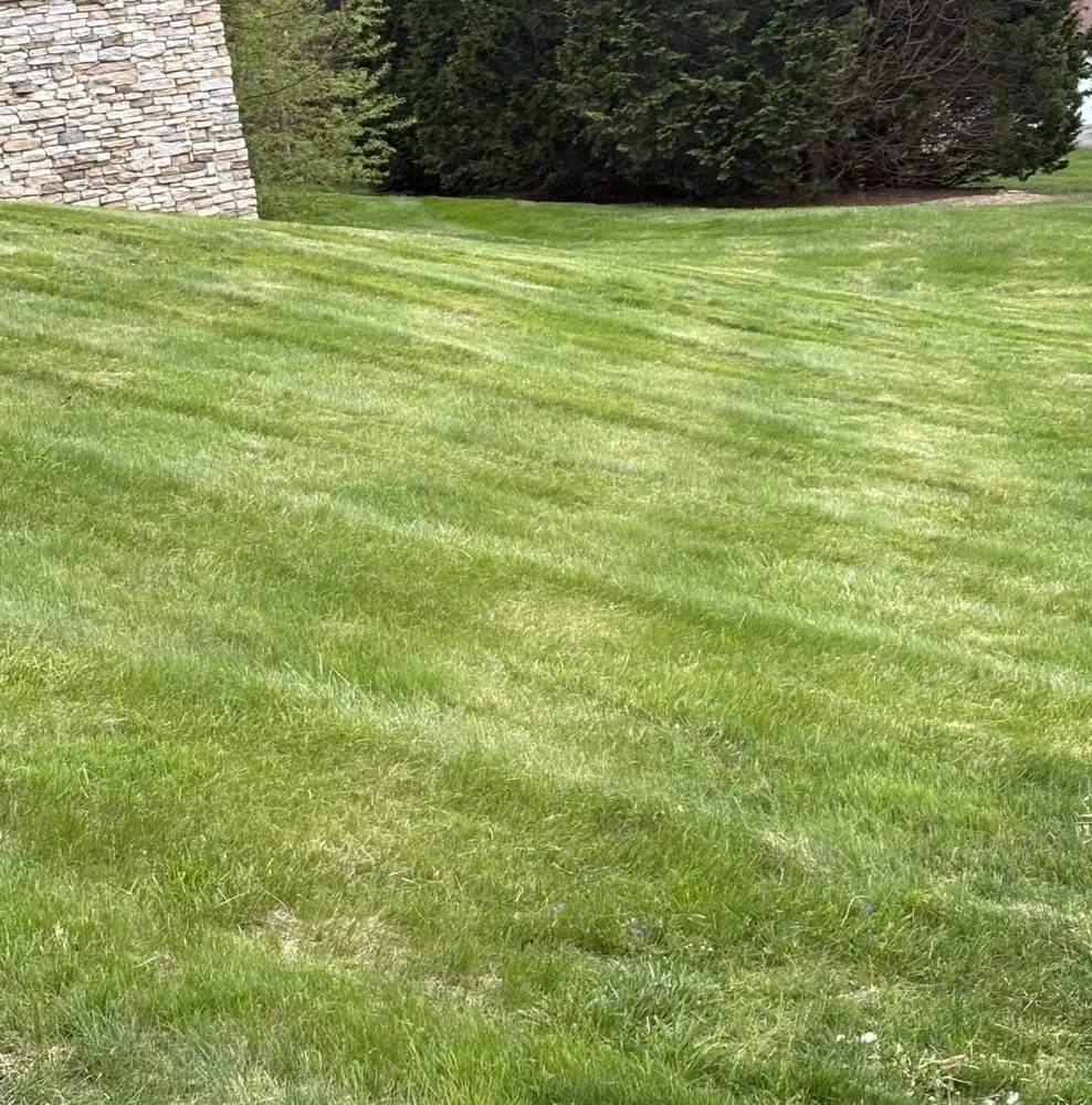 Local landscape design in New Providence, PA by Checkers Landscaping & Lawn Care