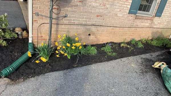 Checkers Landscaping & Lawn Care Logo