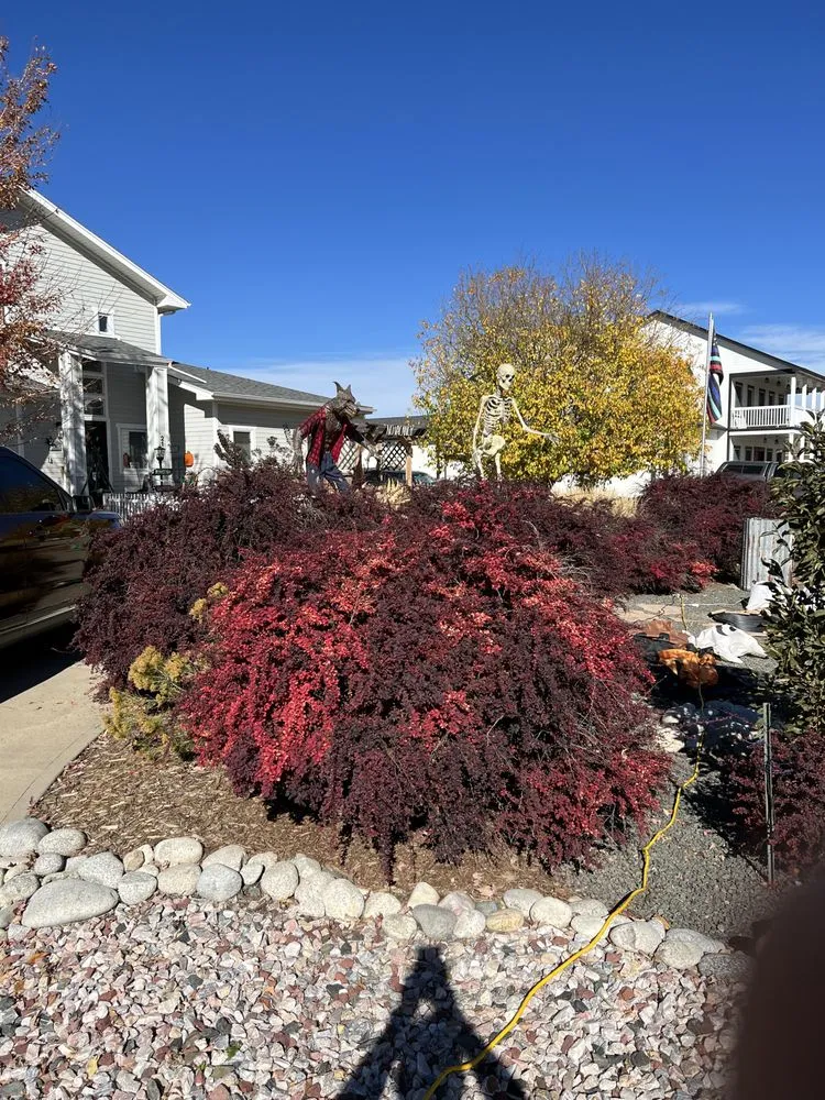 Professional yard maintenance in Berthoud, CO - Checklist
