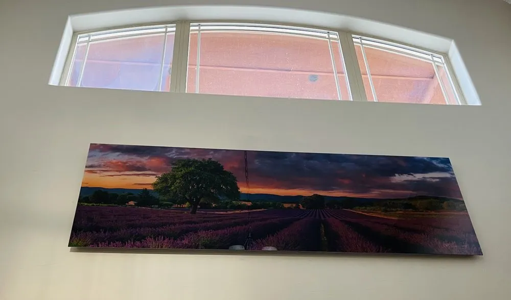 Trusted yard cleanup service in Berthoud, CO - Checklist