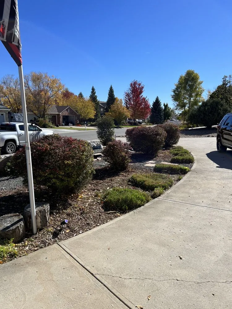 Trusted yard cleanup service experts serving Berthoud, CO - Checklist