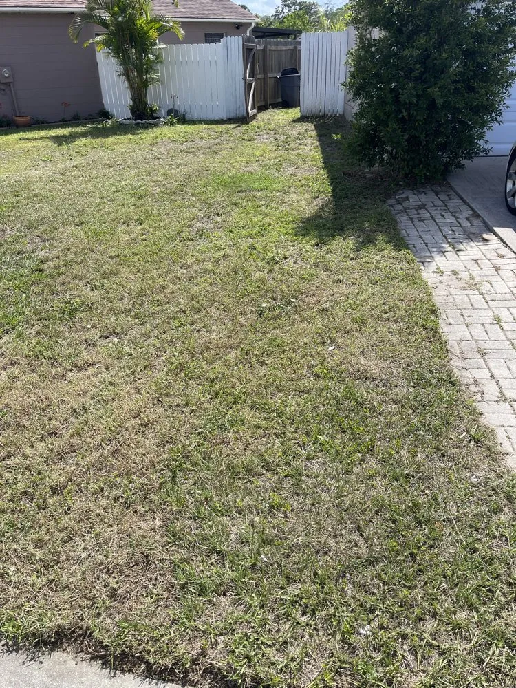 Affordable landscape design for residential properties across Winter Springs, FL - Checkursix Solutions