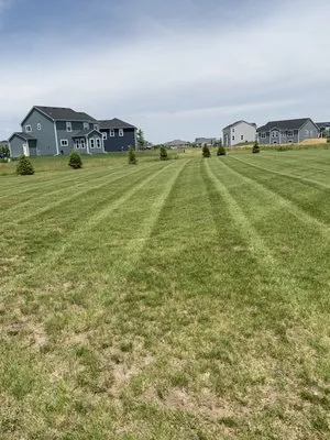 Cheesehead Landscapes Logo