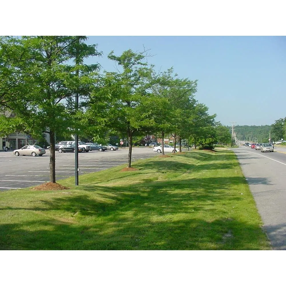 Custom garden landscaping experts serving Newark, DE - Cheetah Tree Service