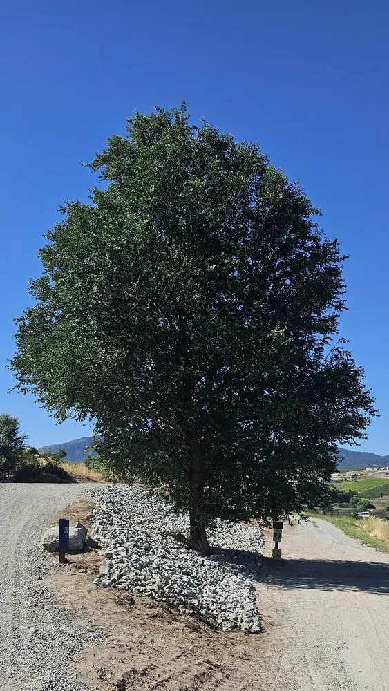 Trusted residential landscaping in Chelan, WA by Chelan Landscaping