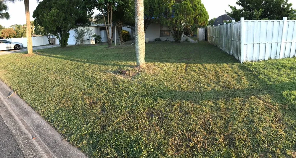 Expert lawn mowing service for outdoor upgrades across Kissimmee, FL - Chela’s Lawnservice