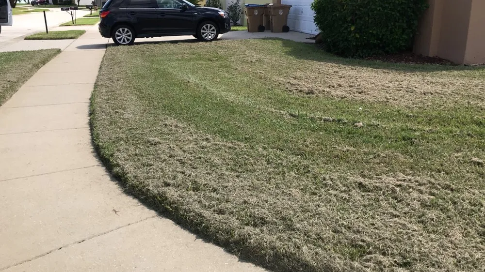 Custom residential landscaping with custom design across Kissimmee, FL - Chela’s Lawnservice