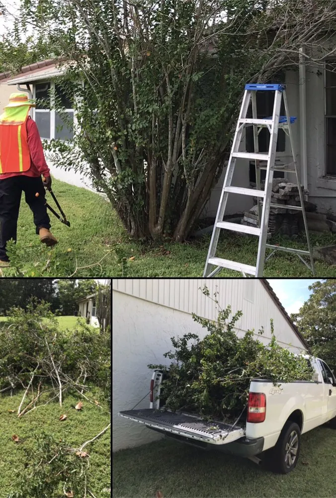 Trusted yard maintenance in Kissimmee, FL - Chela’s Lawnservice