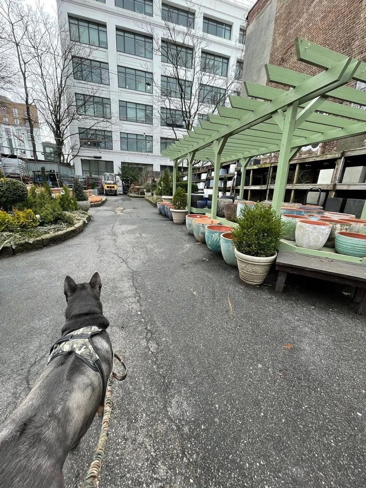 Reliable yard cleanup service for homes across Williamsburg, NY - Chelsea Garden Center- Williamsburg