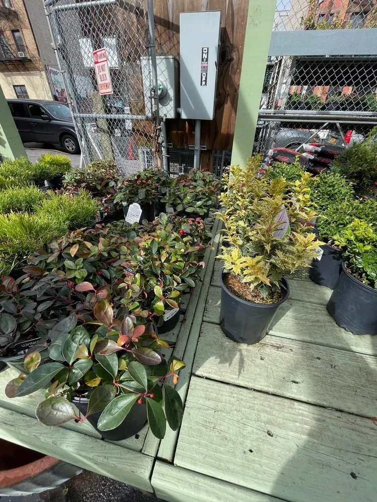 Expert landscape installation in Williamsburg, NY by Chelsea Garden Center- Williamsburg