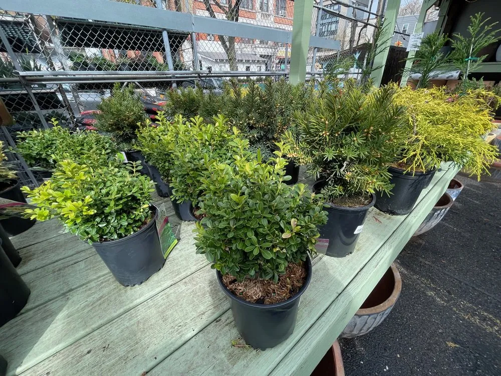 Affordable lawn mowing service near you across Williamsburg, NY - Chelsea Garden Center- Williamsburg