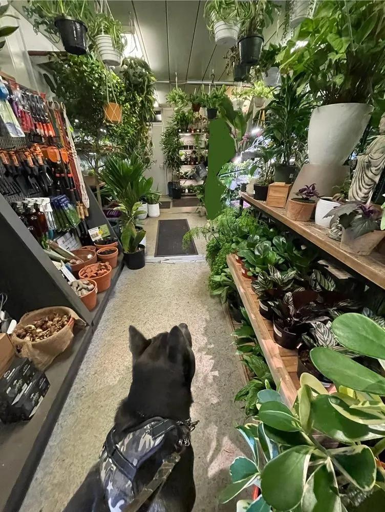 Professional yard maintenance experts serving Williamsburg, NY - Chelsea Garden Center- Williamsburg