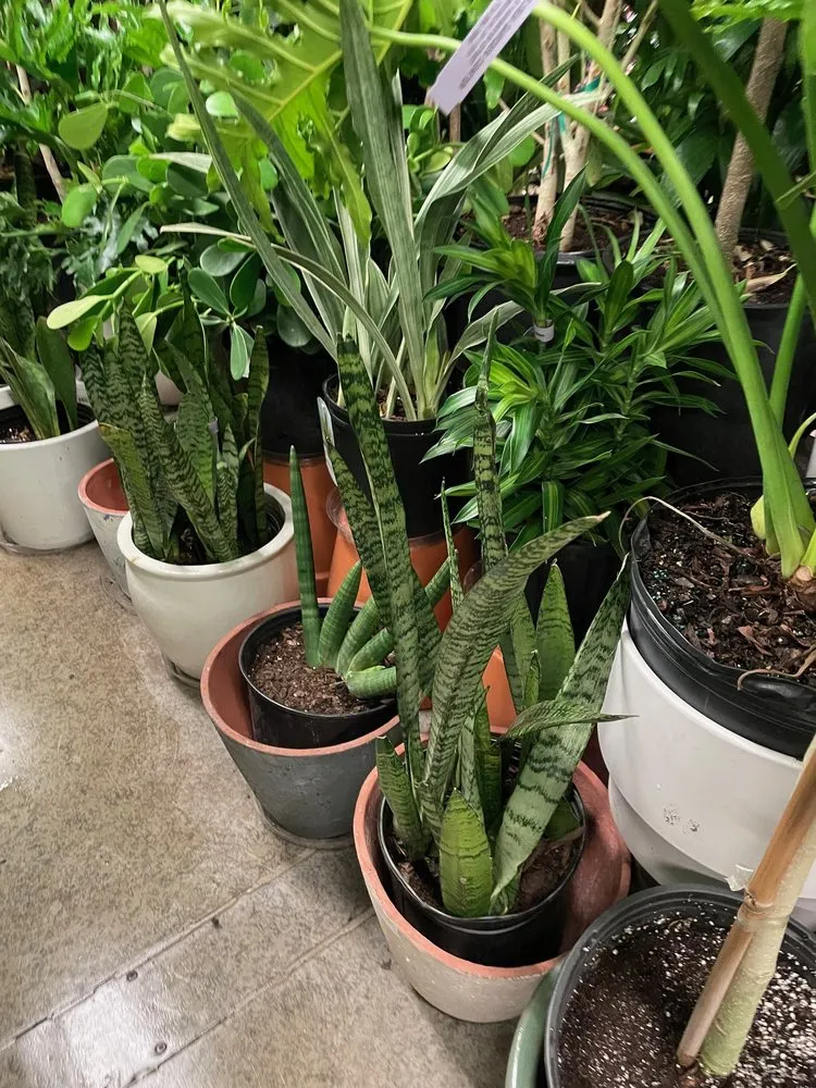 Affordable residential landscaping in Williamsburg, NY - Chelsea Garden Center- Williamsburg