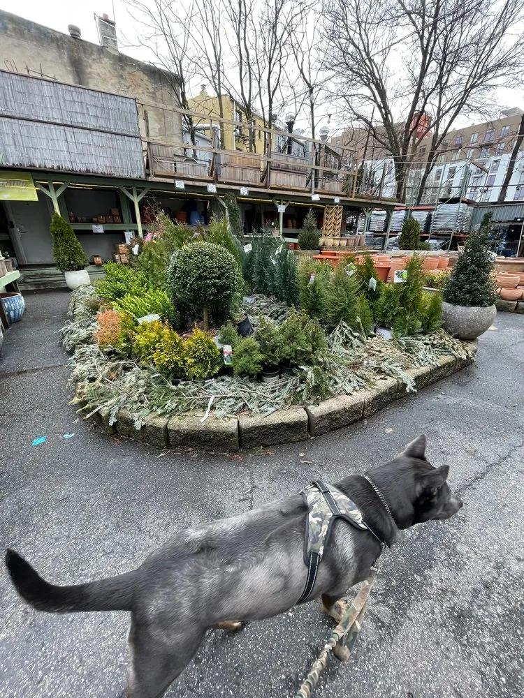 Custom yard maintenance in Williamsburg, NY - Chelsea Garden Center- Williamsburg