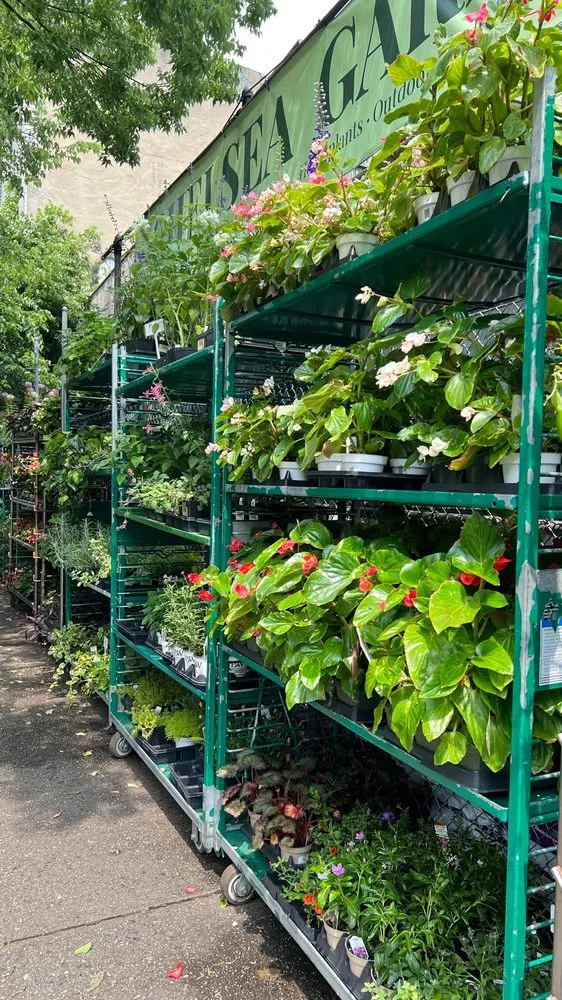Affordable landscape design experts serving Williamsburg, NY - Chelsea Garden Center- Williamsburg