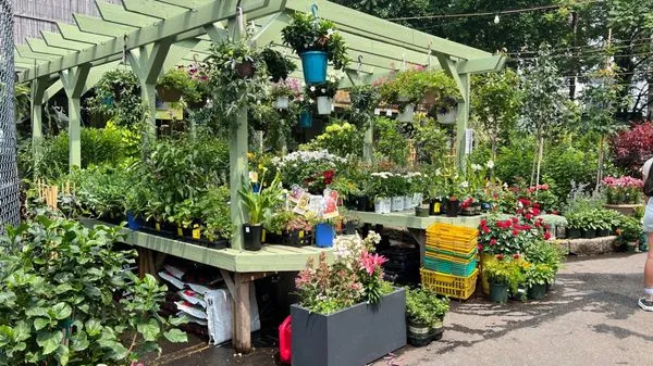 Chelsea Garden Center- Williamsburg