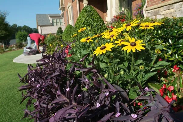 Professional outdoor landscaping in Loganville, GA - Chelsea Gardens Landscape