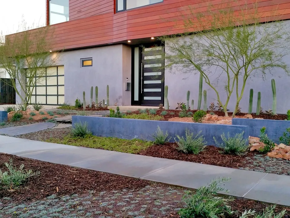 Professional yard maintenance in Pacific Palisades, CA by Chelsea Sullivan Design