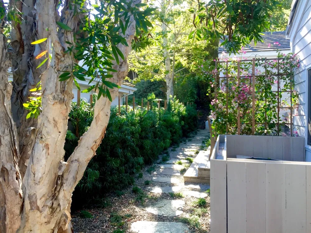 Professional yard cleanup service for beautiful yards across Pacific Palisades, CA - Chelsea Sullivan Design