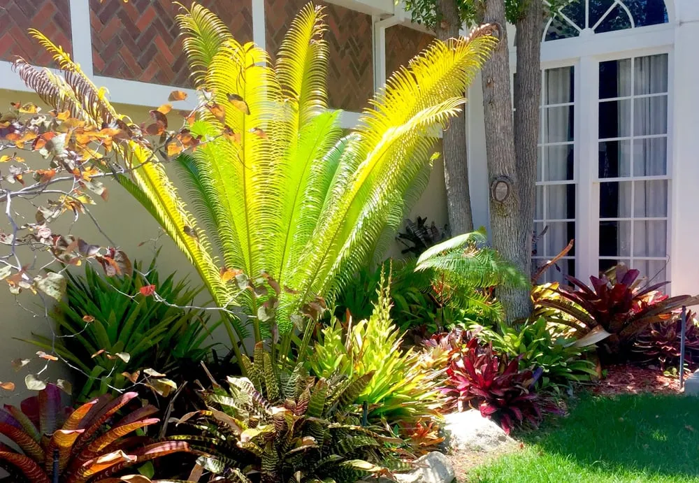 Custom lawn mowing service for outdoor upgrades in Pacific Palisades, CA by Chelsea Sullivan Design