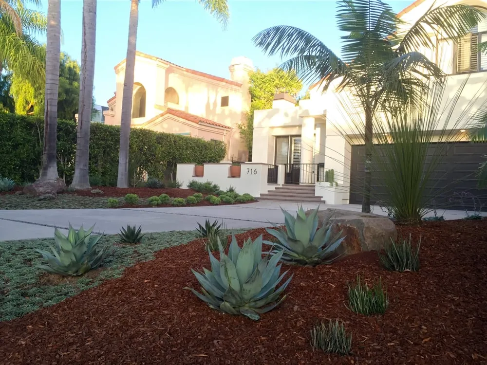 Affordable lawn mowing service for outdoor upgrades in Pacific Palisades, CA by Chelsea Sullivan Design