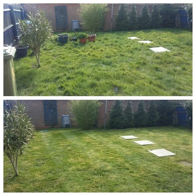 Expert yard cleanup service for homes across Hanford, CA - ChelyBoo Gardening Service