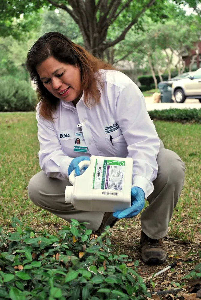 Affordable landscape design for homes in Austin, TX by Chem-Free Organic Pest & Lawn Services