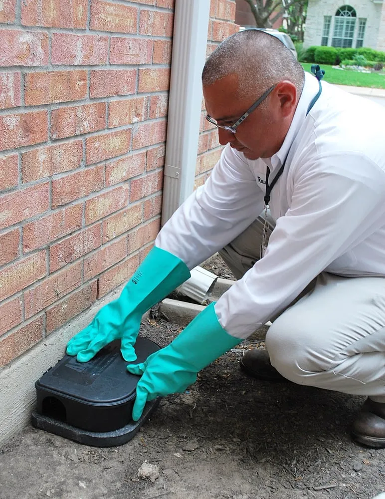 Custom lawn care service for homes across Austin, TX - Chem-Free Organic Pest & Lawn Services