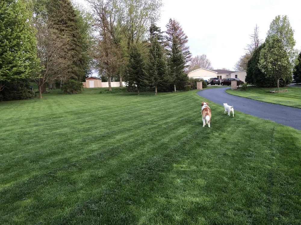 Expert yard maintenance for residential properties across Aurora, IL - Chem-Wise Turf Management