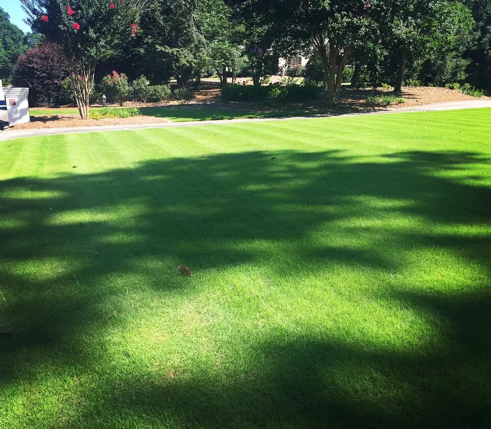 Reliable yard cleanup service in Lilburn, GA by ChemPro Lawn Care