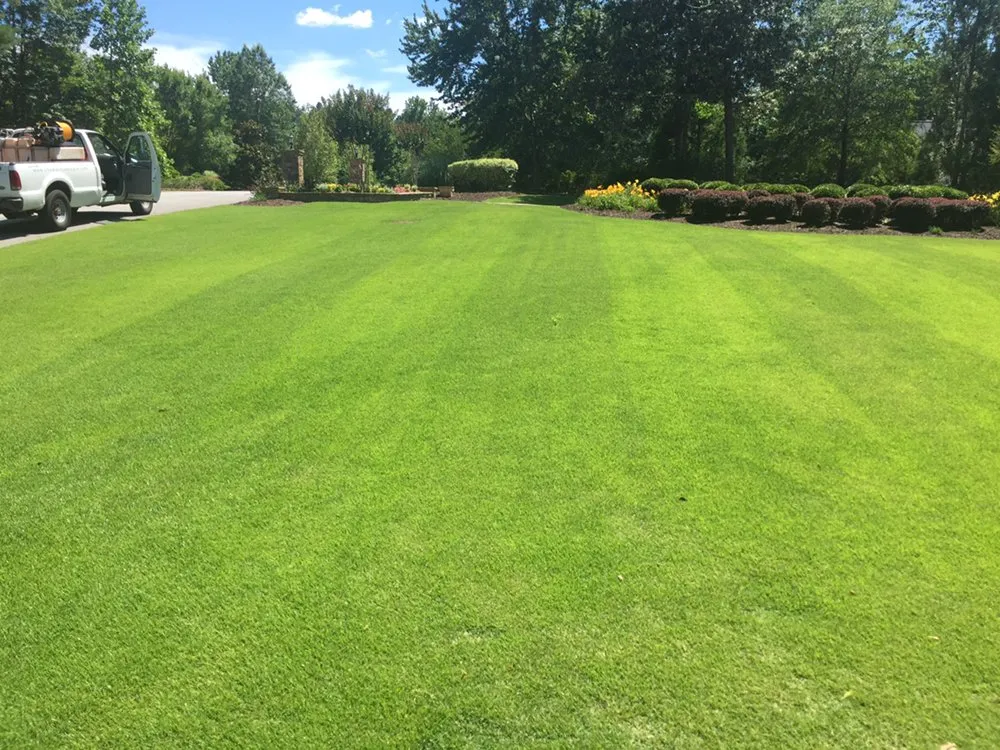 Top-rated outdoor landscaping experts serving Lilburn, GA - ChemPro Lawn Care