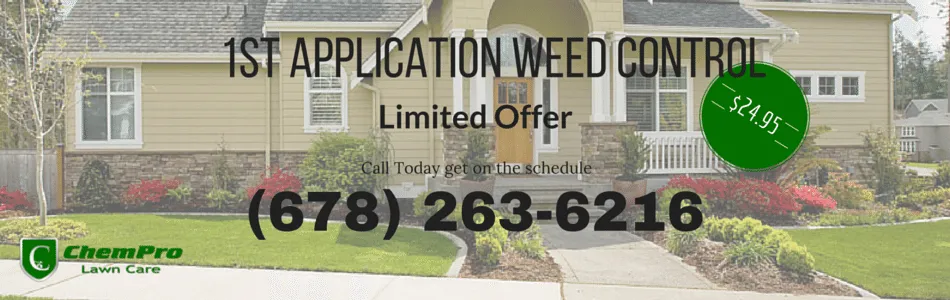 Affordable landscape installation in Lilburn, GA by ChemPro Lawn Care