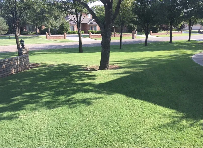 Professional yard maintenance in Lubbock, TX by ChemPros