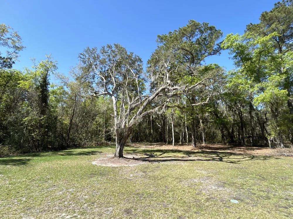 Top-rated landscape installation for outdoor upgrades in St. Marys, GA by Cheo’s Landscaping