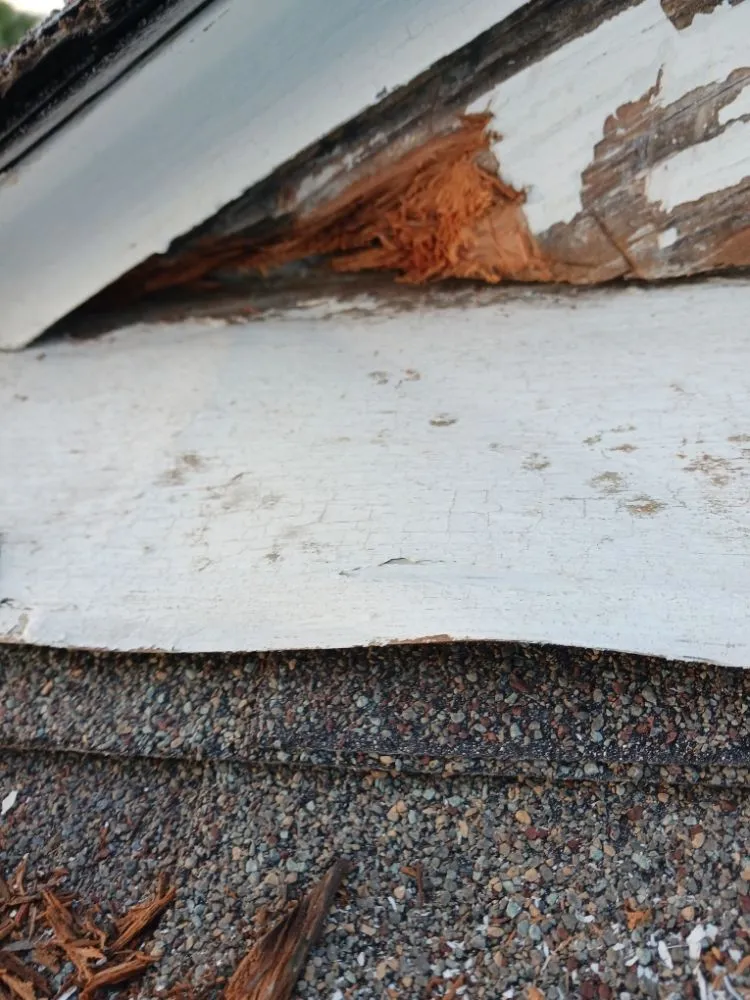 Local yard maintenance in Larose, LA by Cheramie Handyman Services