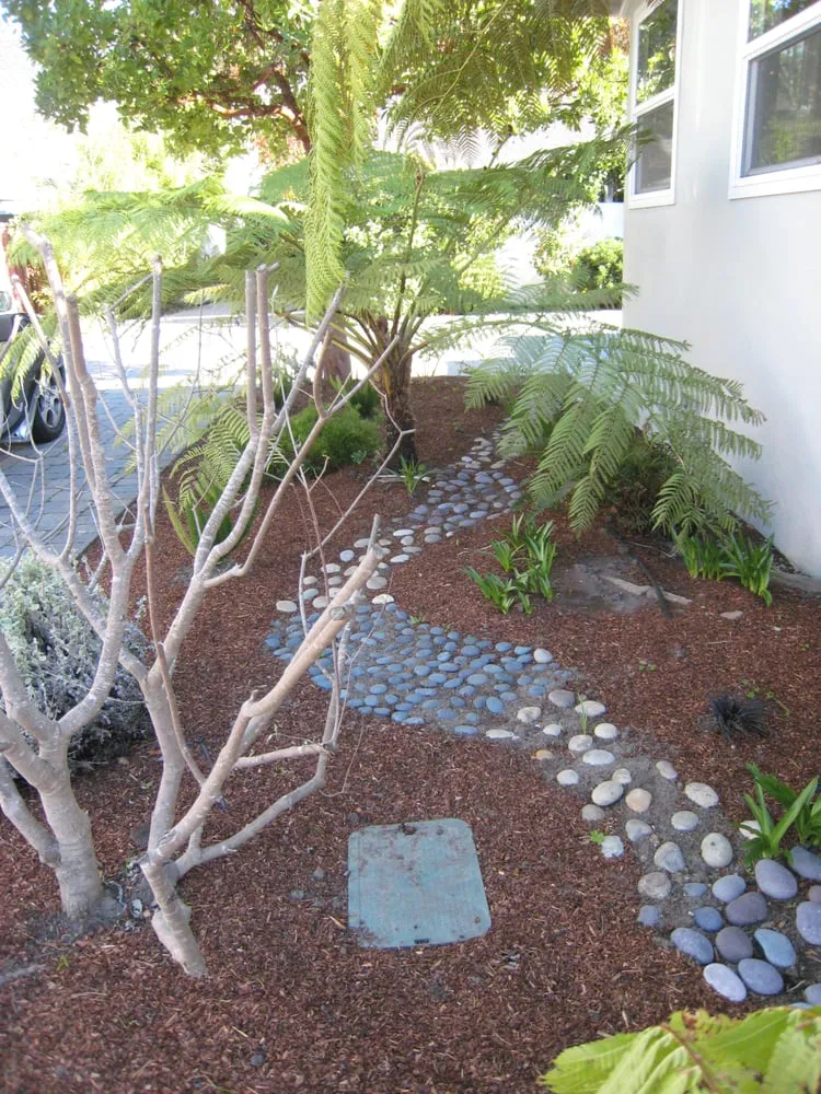 Expert residential landscaping for year-round maintenance across Aptos, CA - Cherie Bobbe Landscape Design