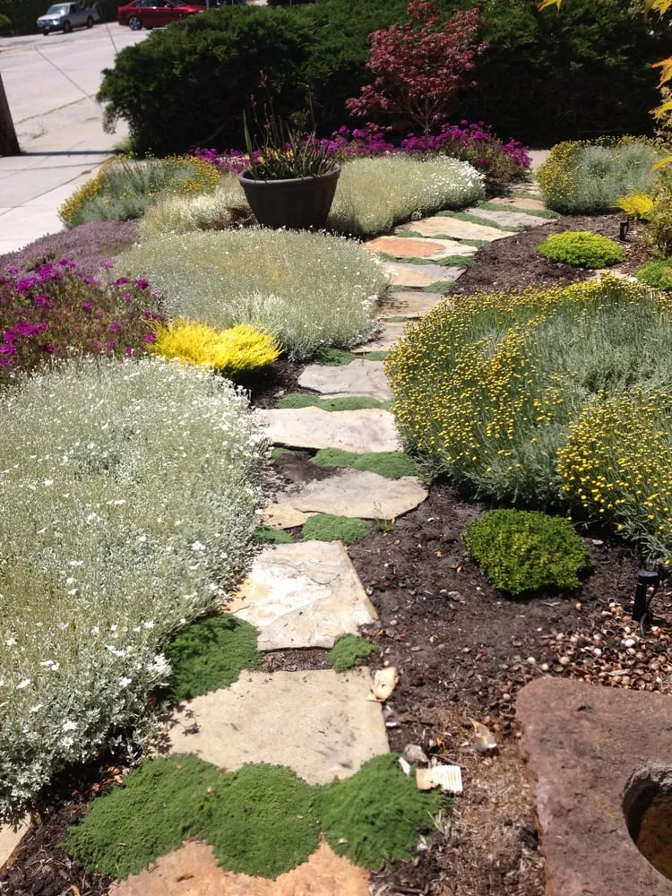 Local outdoor landscaping experts serving Aptos, CA - Cherie Bobbe Landscape Design